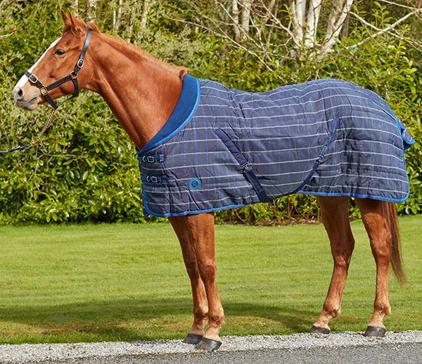 comfort quilt, stable rug, 300g