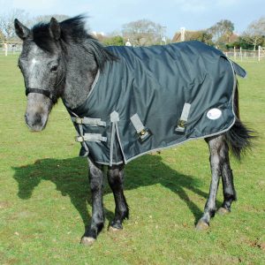 Foal rug, pony rug, outdoor foal rug, pony turnout,