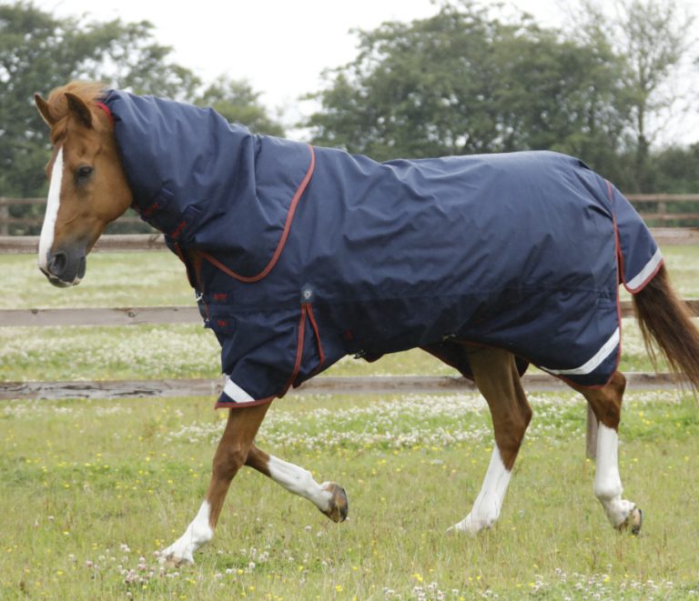 Premier Equine Titan 450 Titan Turnout, the perfect heavy weight rug