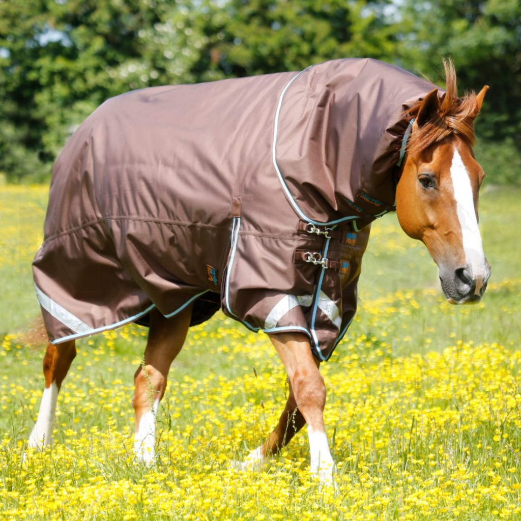 Premier Equine Titan 300 Turnout with detachable neck cover