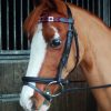 chukka browband, polo ponies, leather tack, equestrian colour, horse tack, real leather, polo equipment,