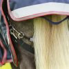 Premier Equine Titan Pony 100, Premier Equine, Titan 100, Lightweight waterproof, turnout rug, horse rug, comfort fit horse rug