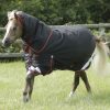 Premier Equine Pony Titan 450, Winter turnout rug, pony rugs, pony winter rug, stable rug,