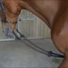 bun gee martingale, french martingale
