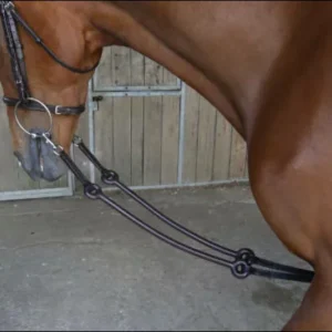 bun gee martingale, french martingale